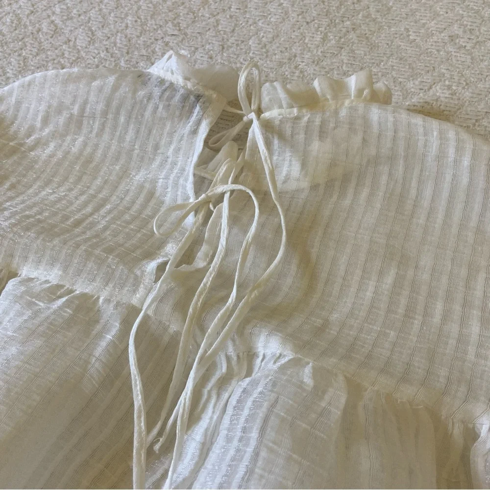 Zara Striped Ruffle Neck Organza Blouse